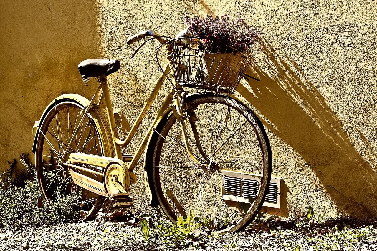Odkryj świat rowerów – Trek 24 cale, serwis i modele na każdą trasę